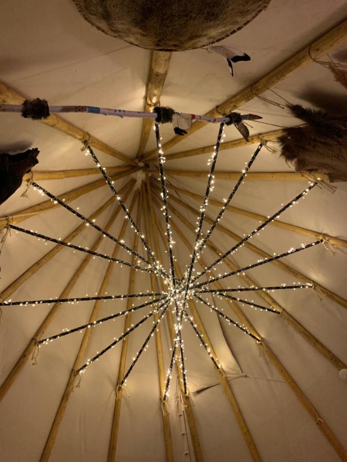 مبيت وإفطار هوت سبرنغز Fox Pass Cabins المظهر الخارجي الصورة