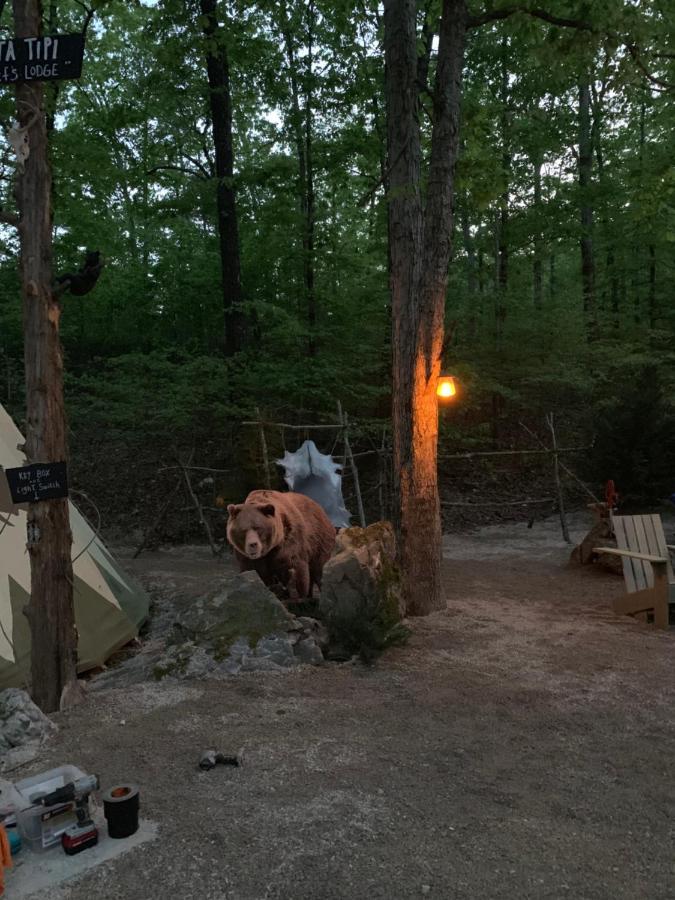 مبيت وإفطار هوت سبرنغز Fox Pass Cabins المظهر الخارجي الصورة