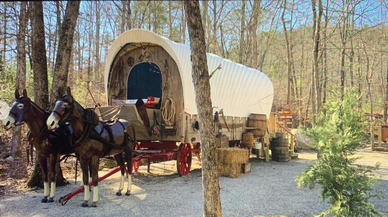 مبيت وإفطار هوت سبرنغز Fox Pass Cabins المظهر الخارجي الصورة